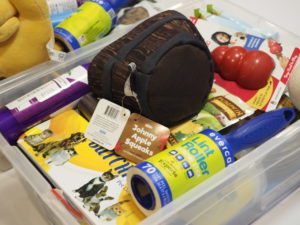 pet supplies in clear plastic storage tote
